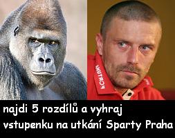 3943richardzz4.jpg